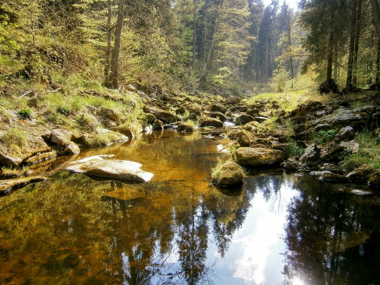 Zřícenina hradu Sokolčí