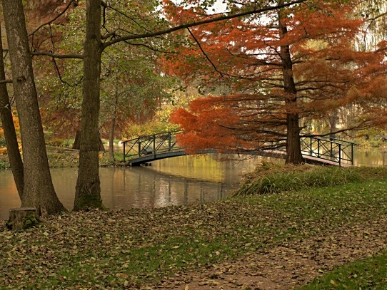 Zámek Častolovice-zahrada