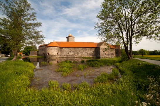 Vodní hrad Švihov