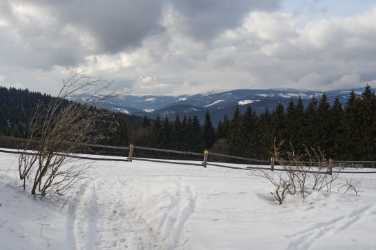 Sněžka a Studniční hora od Rýchorského kříže