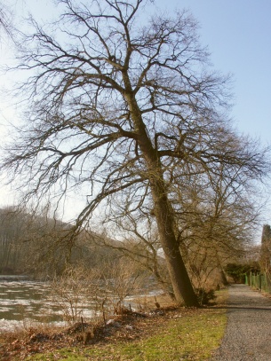 Dolní Poohří