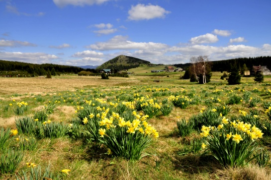 Jaro na Jizerce