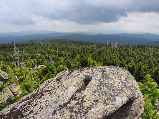 Jizerské hory z Pralesa Jizery