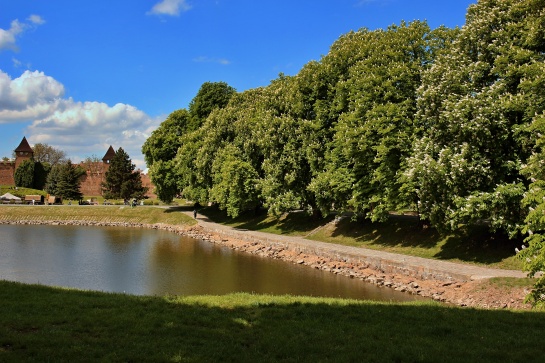 Nymburk přístav