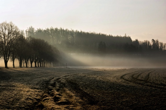 Svítání