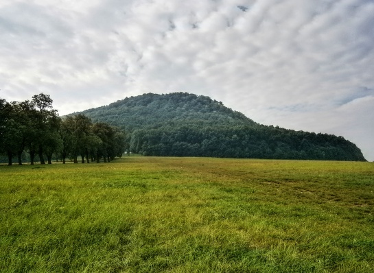 Hora Říp s Rotundou sv. Jiří a sv. Vojtěcha. 