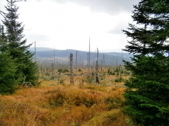 Siebensteinkopf – Sedmiskalí ( 1263 m ).
