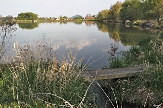 U Dlažkovického rybníku