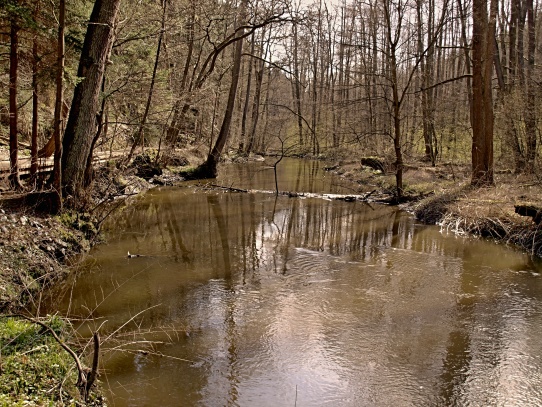 Robečský potok - Peklo