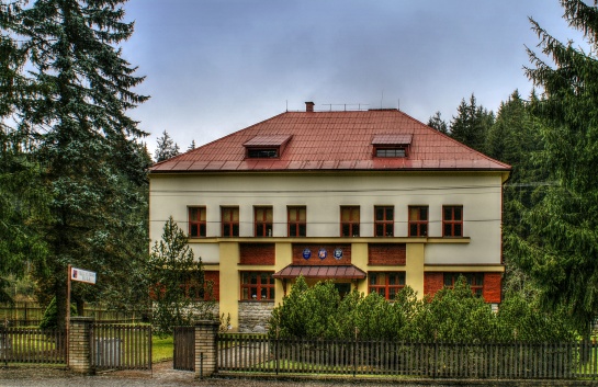 Bílá