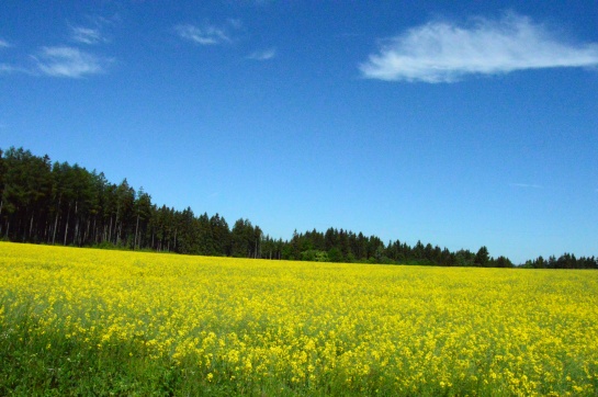 Polánka, přírodní park na Benešovsku