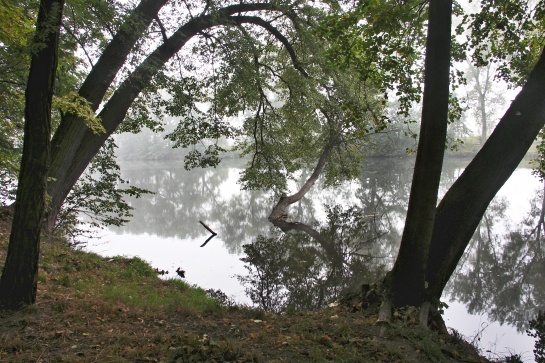 Dolní Poohří