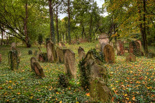 Starý židovský hřbitov v Kolíně