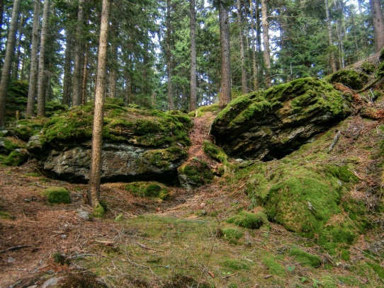 Sedlo ( 902 m.n m. )