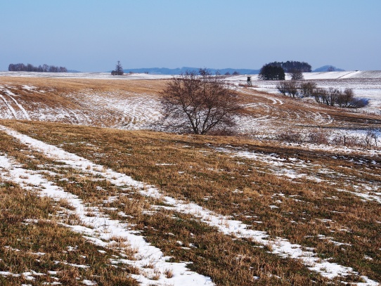Krajina u Jablonného v Podještědí