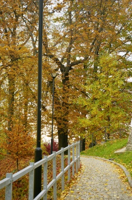 podzimní chodník
