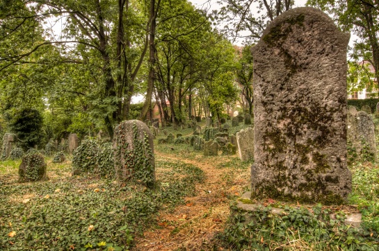 Starý židovský hřbitov v Kolíně