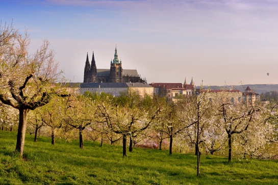 Pražský hrad na jaře