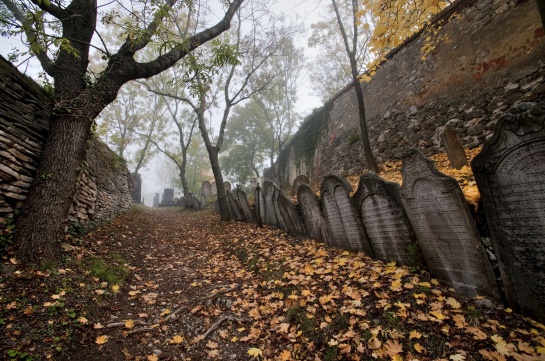Mikulov - židovský hřbitov