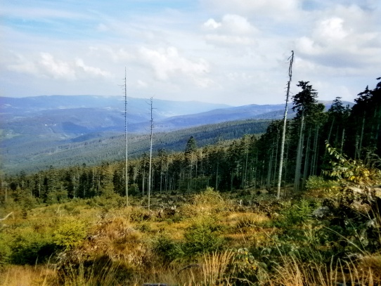 Pod Statečkem