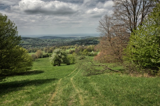 Bílé Karpaty, Vojšické louky