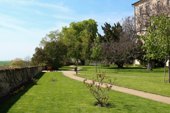 zámecký park v Benátkách nad Jizerou