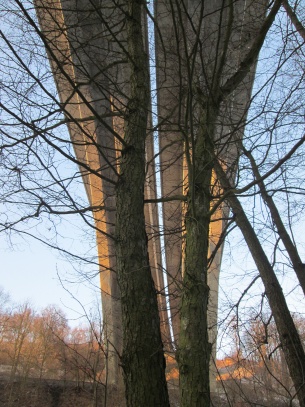 Dálniční most 