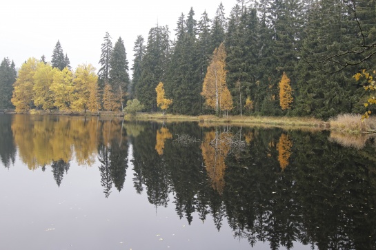Naučná stezka Kladská - Tajga