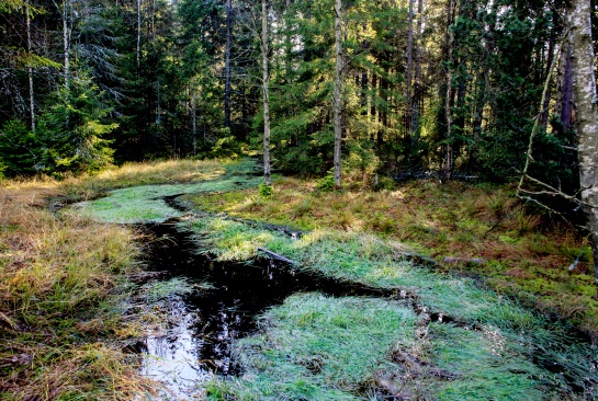 Kladská u Mariánských lázní