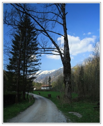 Obrázek z Rakouských Alp