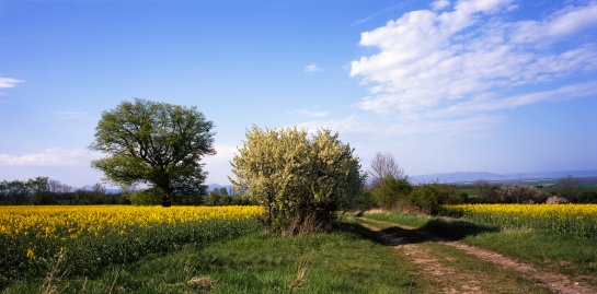 Krajina Praotce Čecha