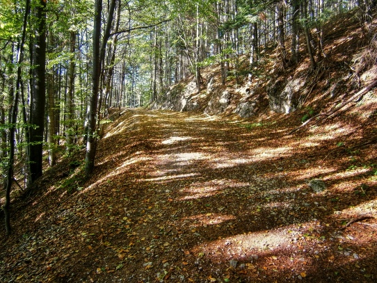 Veľký Sokol