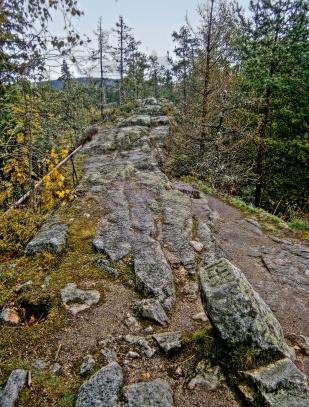 Vintířova skála  ( 1006 m )