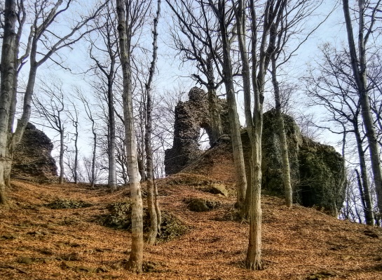 Zřícenina hradu Bradlec 