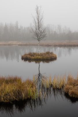Chalupská slať 02