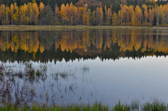 podzimní jezero v Brdech , Octárna