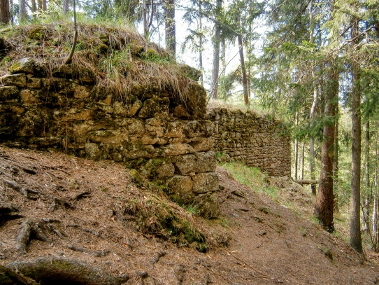 Zbytky hradu Sokolčí