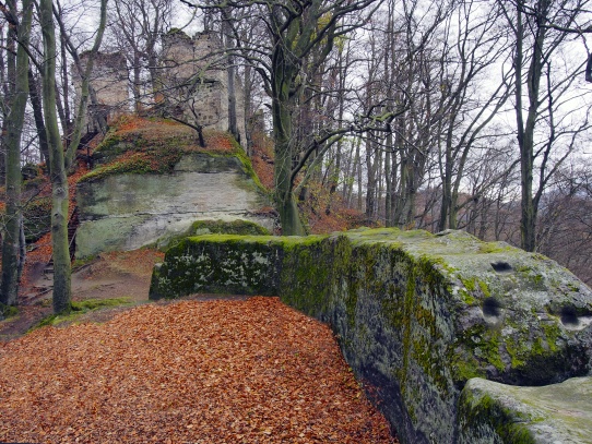 Zřícenina hradu Děvín, obec Hamr na Jezeře