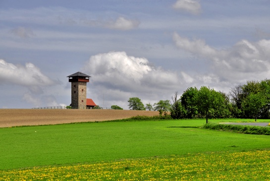rozhledna U borovice