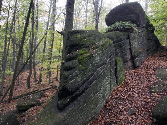 Oldřichovské háje a skály NS