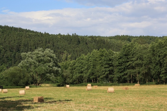 Pustověty