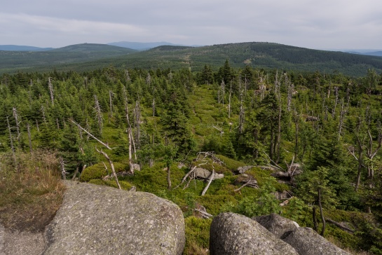 Sněžné věžičky a Jizera z Holubníku