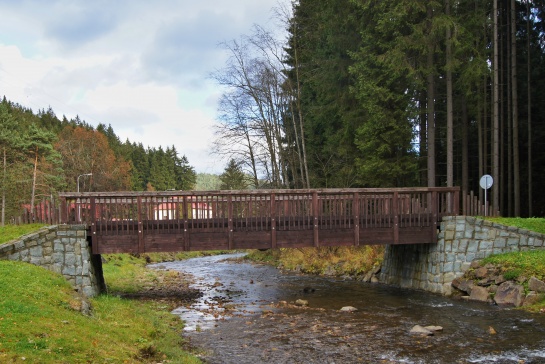 Bílá