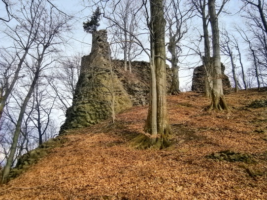 Zřícenina hradu Bradlec