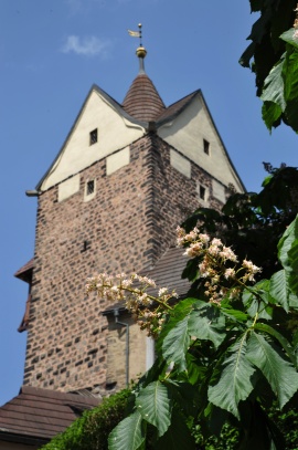 Loket - hrad