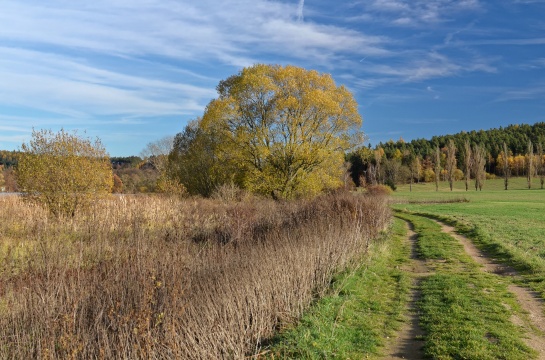 Podzim v Myšticích