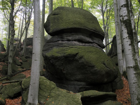 Oldřichovské háje a skály