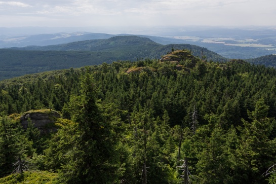 Ptačí kupy