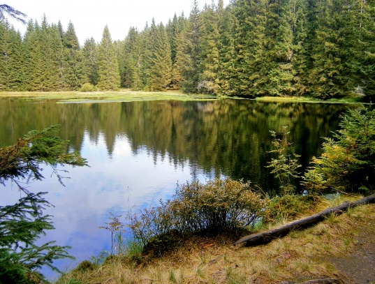 Jelení jezírko