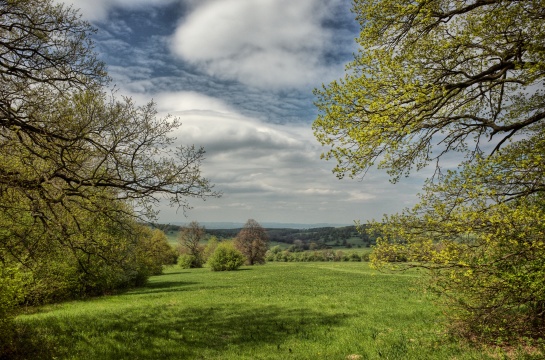 Bílé Karpaty, Vojšické louky
